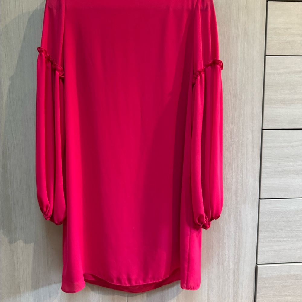 Balloon Ruffle Sleeved Mini Dress